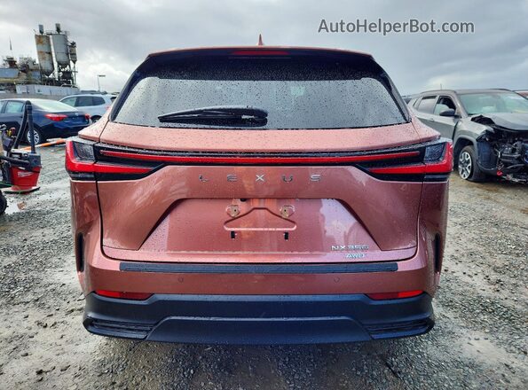 2T2GGCEZ8TC106754 2026 LEXUS NX Orange Widok z tyłu