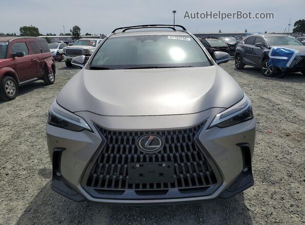 2T2GGCEZXRC035193 2024 LEXUS NX Gray Vista frontal