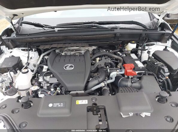 2T2GGCEZXTC102477 2026 LEXUS NX 350 White Հետևի տեսք