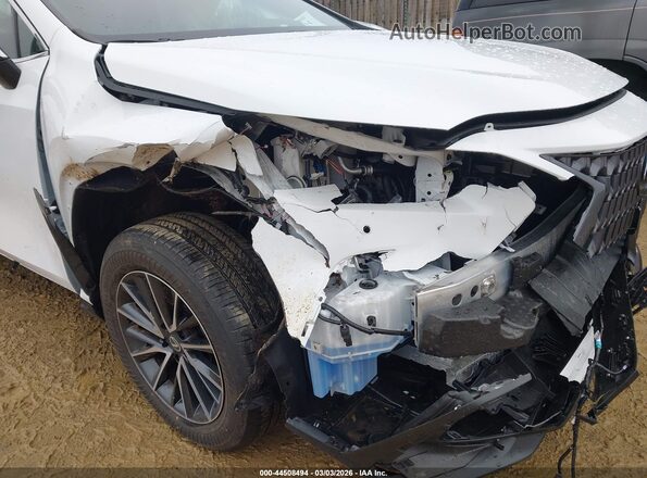 2T2GGCEZXTC102477 2026 LEXUS NX 350 White Դիմացի տեսք