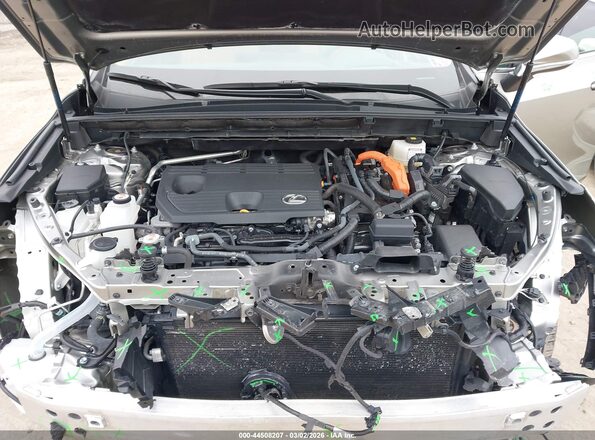 2T2GKCEZ2RC022470 2024 LEXUS NX 350H Желто-коричневый Вид сзади