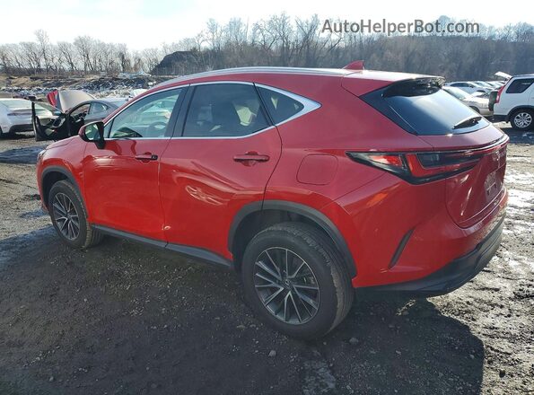 2T2GKCEZ2RC028477 2024 LEXUS NX Red Trasero izquierdo