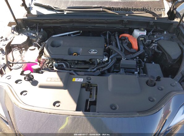 2T2GKCEZ5SC054951 2025 LEXUS NX 350H Gray Հետևի տեսք