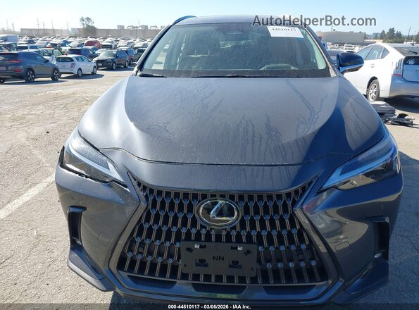 2T2GKCEZ5SC054951 2025 LEXUS NX 350H Gray Սալոնի հետևի տեսք