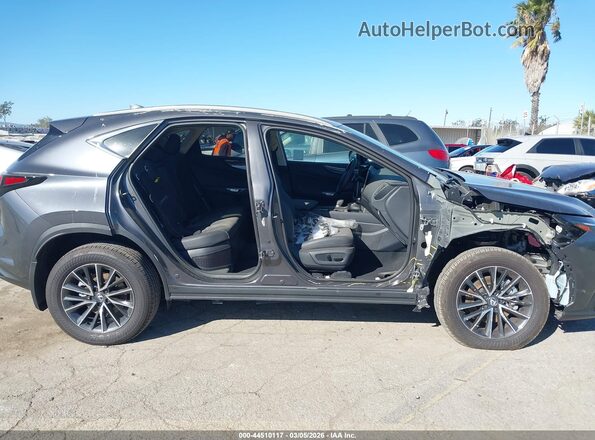 2T2GKCEZ5SC054951 2025 LEXUS NX 350H Gray Սալոնի 360 աստիճան տեսք
