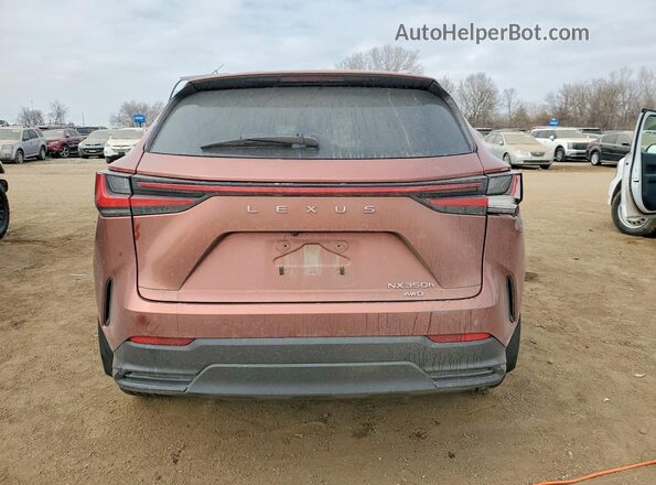 2T2GKCEZ6SC039858 2025 LEXUS NX Brown 