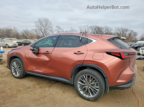 2T2GKCEZ6SC039858 2025 LEXUS NX Brown 