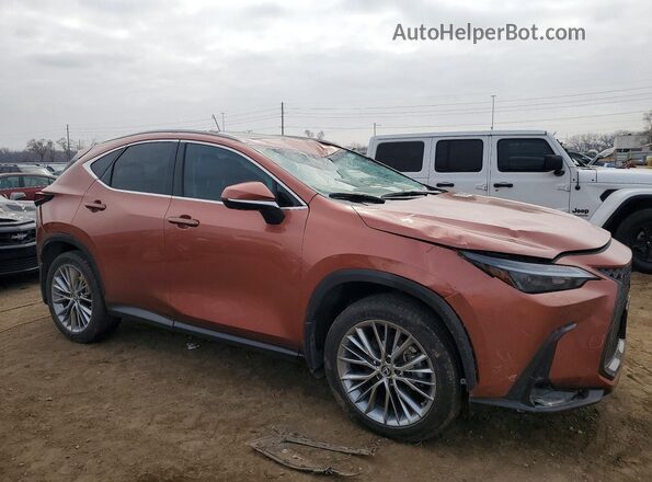 2T2GKCEZ6SC039858 2025 LEXUS NX Brown 