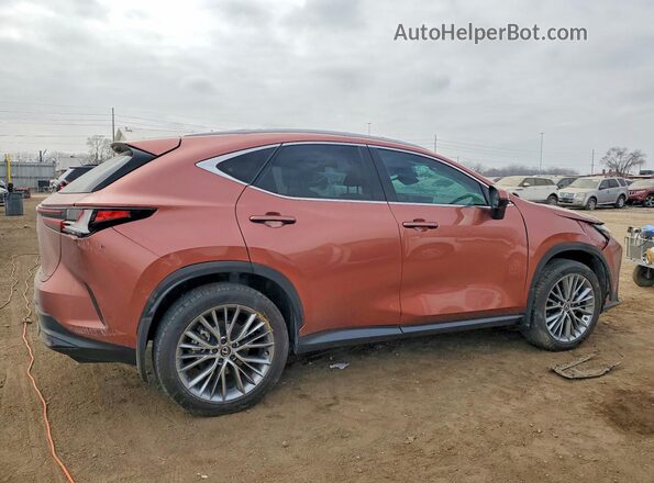 2T2GKCEZ6SC039858 2025 LEXUS NX Brown 