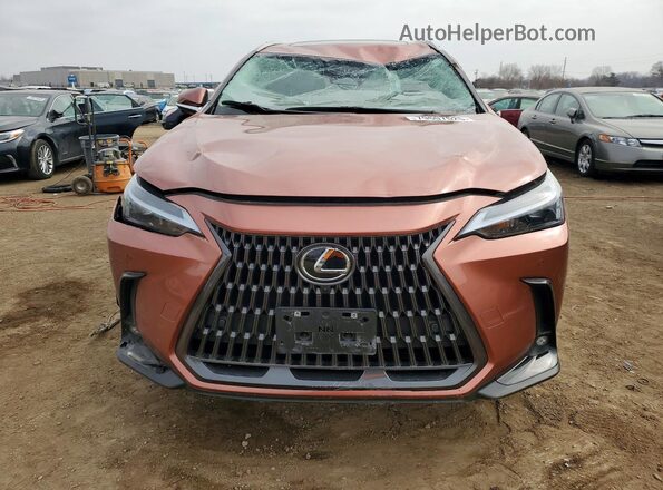 2T2GKCEZ6SC039858 2025 LEXUS NX Brown 