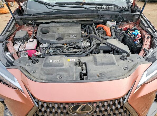 2T2GKCEZ6SC039858 2025 LEXUS NX Brown 