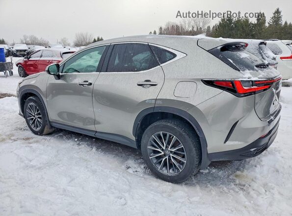 2T2GKCEZ7PC011283 2023 LEXUS NX Silver Հետևի ձախ