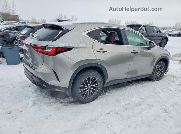 2T2GKCEZ7PC011283 2023 LEXUS NX Silver Հետևի աջ