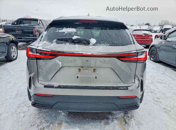 2T2GKCEZ7PC011283 2023 LEXUS NX Silver Հետևի տեսք