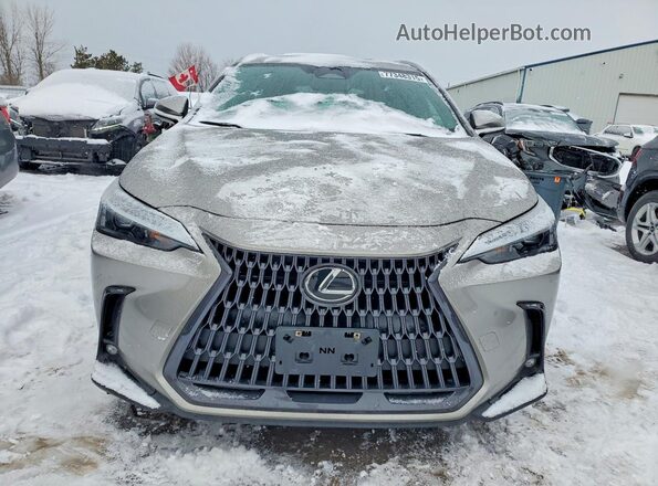 2T2GKCEZ7PC011283 2023 LEXUS NX Silver Դիմացի տեսք