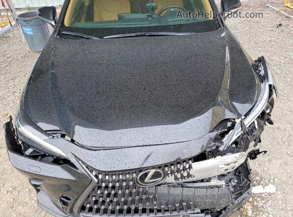 2T2HGCEZ7TC101422 2026 LEXUS NX Black Vista del compartimento del motor
