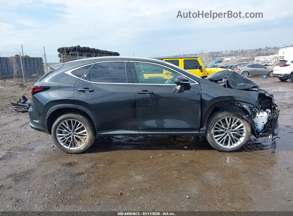 2T2HGCEZ8TC097526 2026 LEXUS NX 350 Черный Вид задней части салона