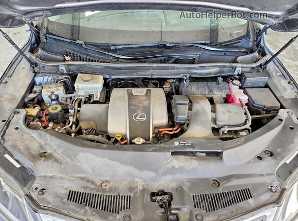 2T2HGMDA2MC058675 2021 LEXUS RX Gray Սալոնի հետևի տեսք