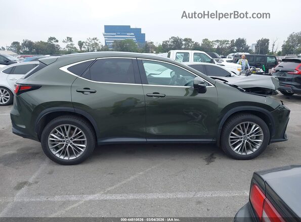 2T2HKCEZ2RC016785 2024 LEXUS NX 350H Green Vista interior trasera