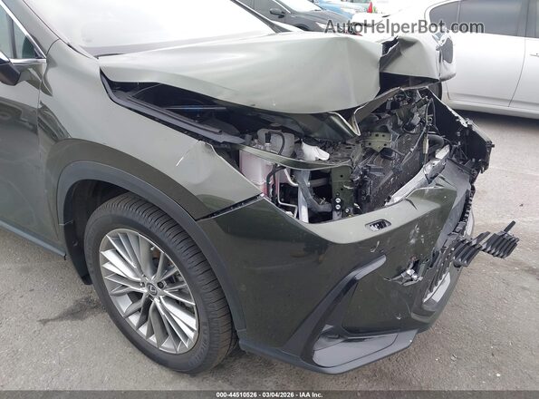 2T2HKCEZ2RC016785 2024 LEXUS NX 350H Green 