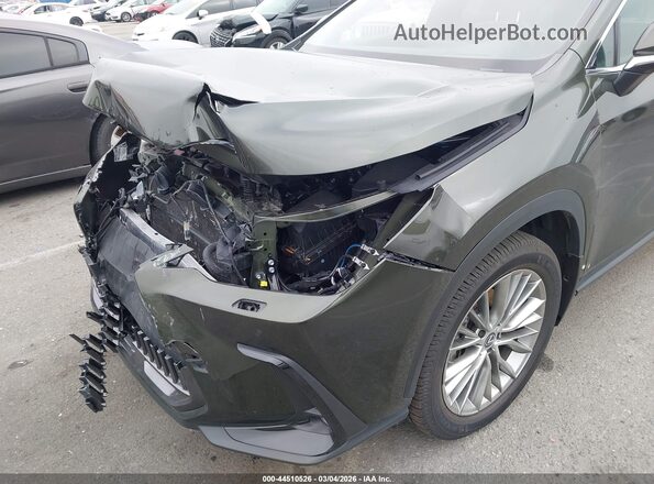 2T2HKCEZ2RC016785 2024 LEXUS NX 350H Green 