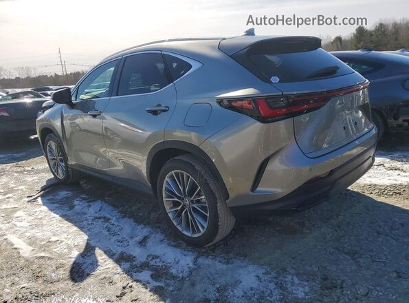 2T2HKCEZXTC066406 2026 LEXUS NX Gray Задня ліва чверть