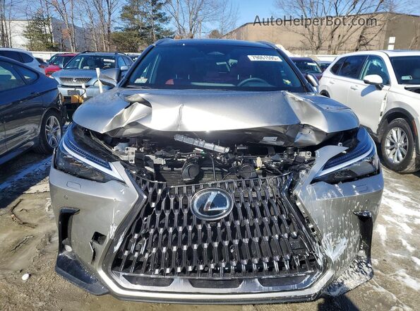2T2HKCEZXTC066406 2026 LEXUS NX Gray Вид спереду