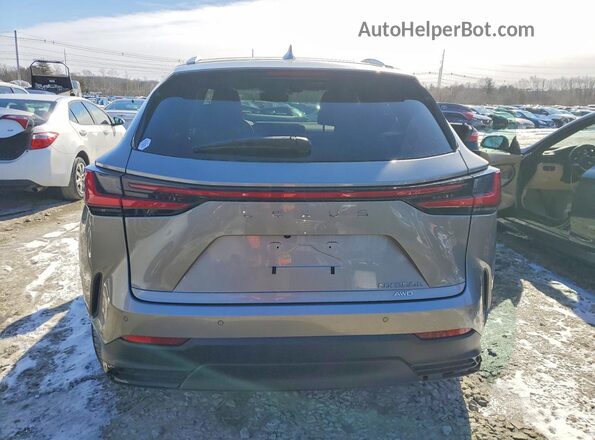 2T2HKCEZXTC066406 2026 LEXUS NX Gray Вид ззаду