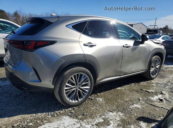 2T2HKCEZXTC066406 2026 LEXUS NX Gray Задня права чверть