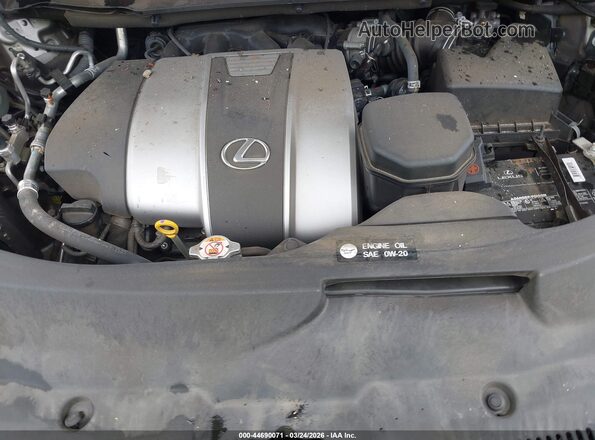 2T2HZMDAXLC225020 2020 LEXUS RX 350 Gray Widok z tyłu