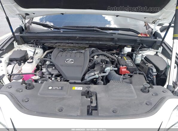 2T2KGCEZ1RC034525 2024 LEXUS NX 350 White Հետևի տեսք