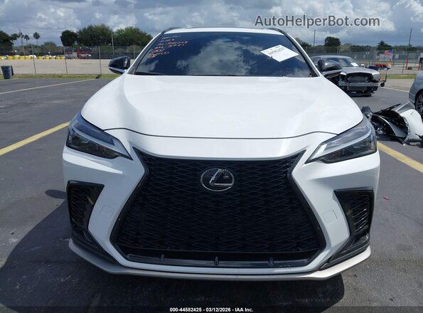 2T2KGCEZ1RC034525 2024 LEXUS NX 350 White Սալոնի հետևի տեսք