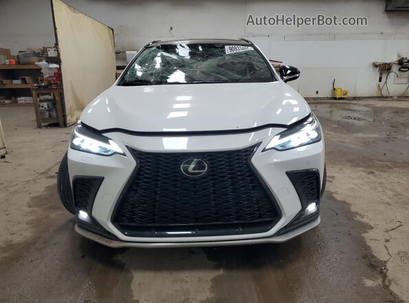 2T2KGCEZ1SC074383 2025 LEXUS NX White Widok z przodu