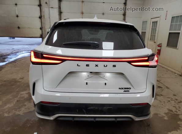 2T2KGCEZ1SC074383 2025 LEXUS NX White Widok z tyłu