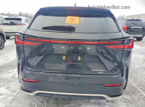2T2KGCEZ2RC056940 2024 LEXUS NX Черный Вид сзади