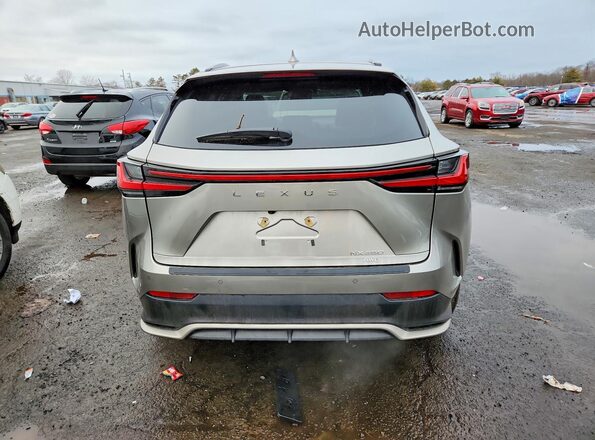 2T2KGCEZ2SC075509 2025 LEXUS NX Gray უკანა ხედი