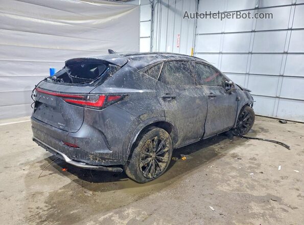 2T2KGCEZ2SC076627 2025 LEXUS NX Gray უკანა მარჯვენა