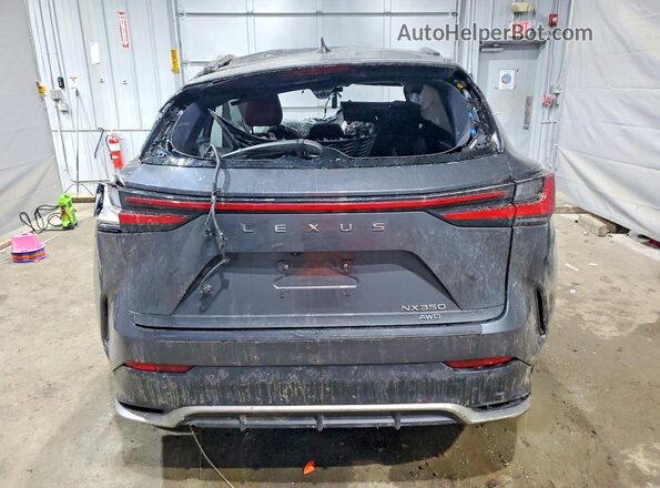 2T2KGCEZ2SC076627 2025 LEXUS NX Gray უკანა ხედი