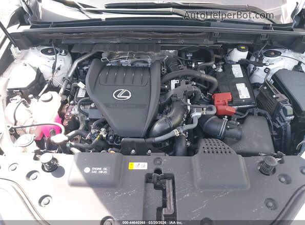 2T2KGCEZ6RC045990 2024 LEXUS NX 350 White Вид ззаду