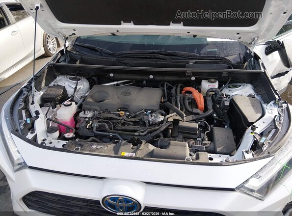 2T3B6RFV4RW065280 2024 TOYOTA LE White Հետևի տեսք