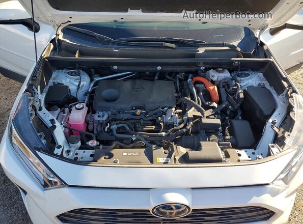 2T3D6RFV4MW021247 2021 TOYOTA LIMITED White უკანა სალონის ხედი