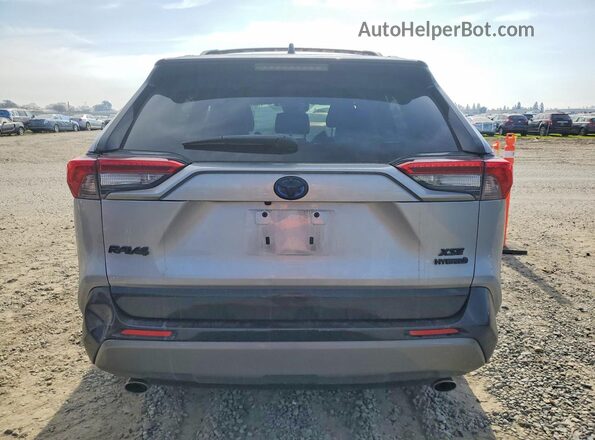 2T3E6RFV3MW024127 2021 TOYOTA RAV4 Silver Вид ззаду