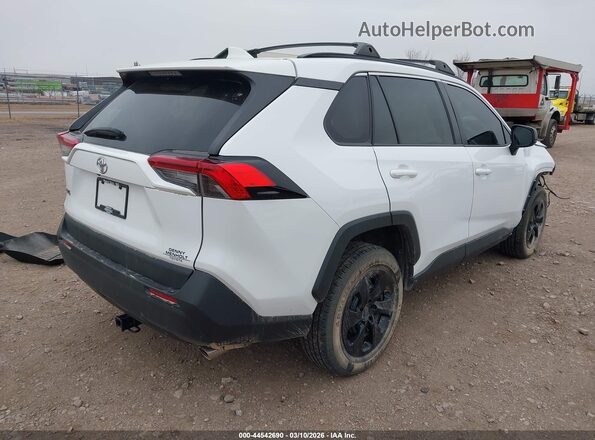2T3H1RFV0KW036891 2019 TOYOTA LE White Задня права чверть
