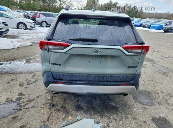 2T3J1RFV5KW007419 2019 TOYOTA RAV4 Gray 