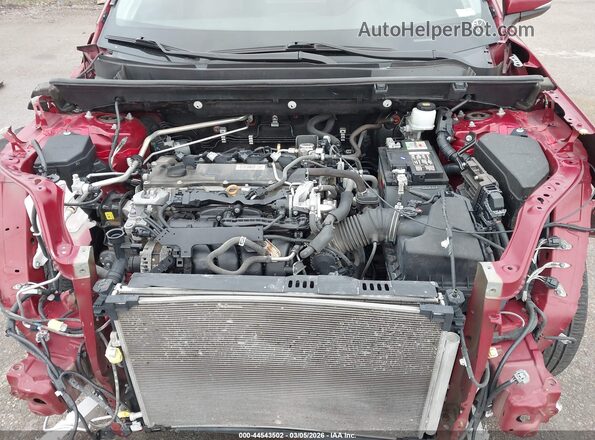 2T3J1RFV9KW024532 2019 TOYOTA RAV4 Red Widok z tyłu