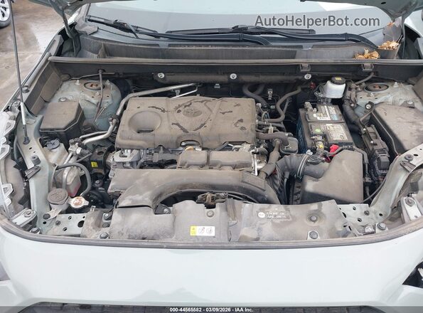 2T3J1RFVXKW019890 2019 TOYOTA RAV4 Green Հետևի տեսք