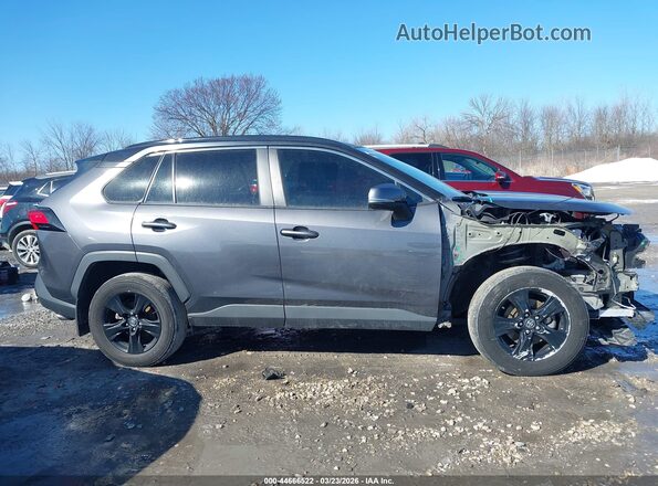 2T3P1RFV3LW104615 2020 TOYOTA LE Серый Панорамный вид салона 360°