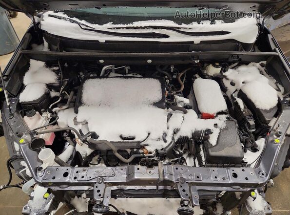 2T3P1RFV3MC180712 2021 TOYOTA LE Gray Շարժիչի բաժամունքի տեսք