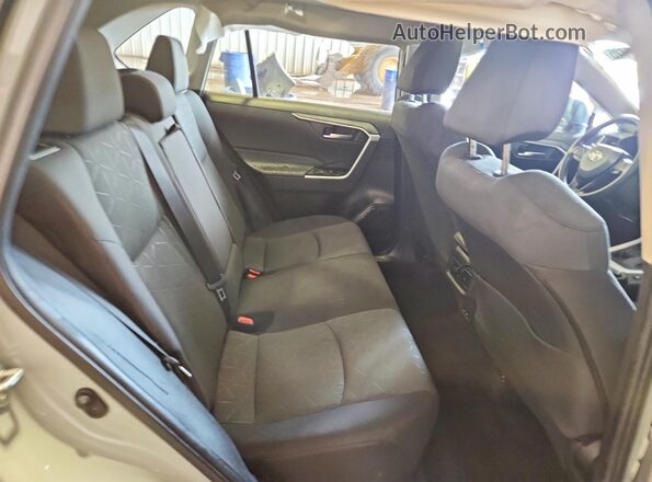2T3P1RFVXPW367254 2023 TOYOTA RAV4 Gray Սալոնի հետևի տեսք