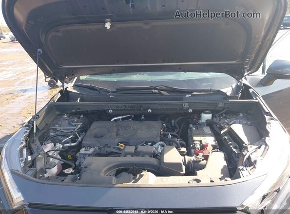 2T3P1RFVXRC442734 2024 TOYOTA LE Gray Widok z tyłu